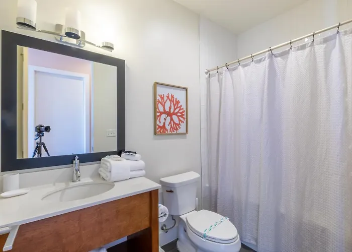 Modern 4 Bedroom Luxury With Rooftop Pool Next To The Hangout!